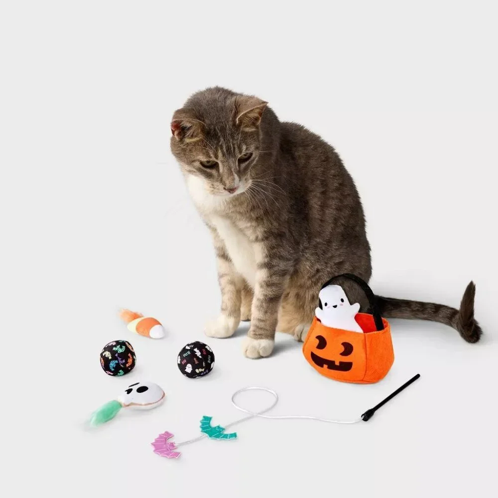 HALLOWEEN GIFT PUMPKIN BASKET PET CAT DOG TOY